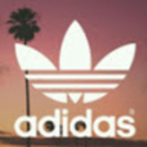 Meet your Posher, Eden